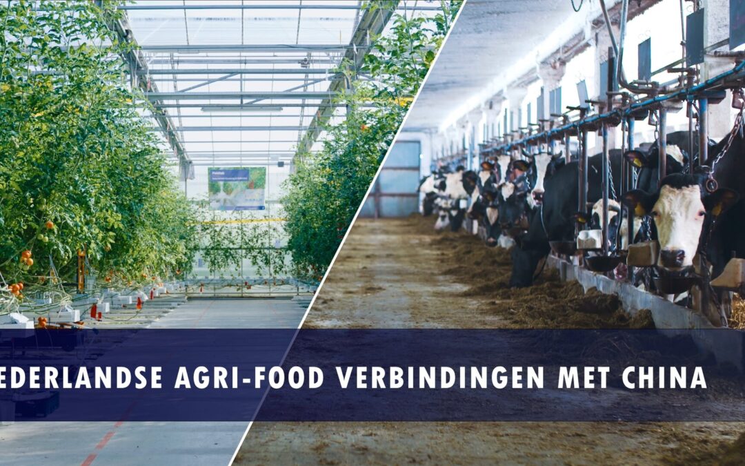 Strengthening agricultural innovation and trade between the Netherlands and China